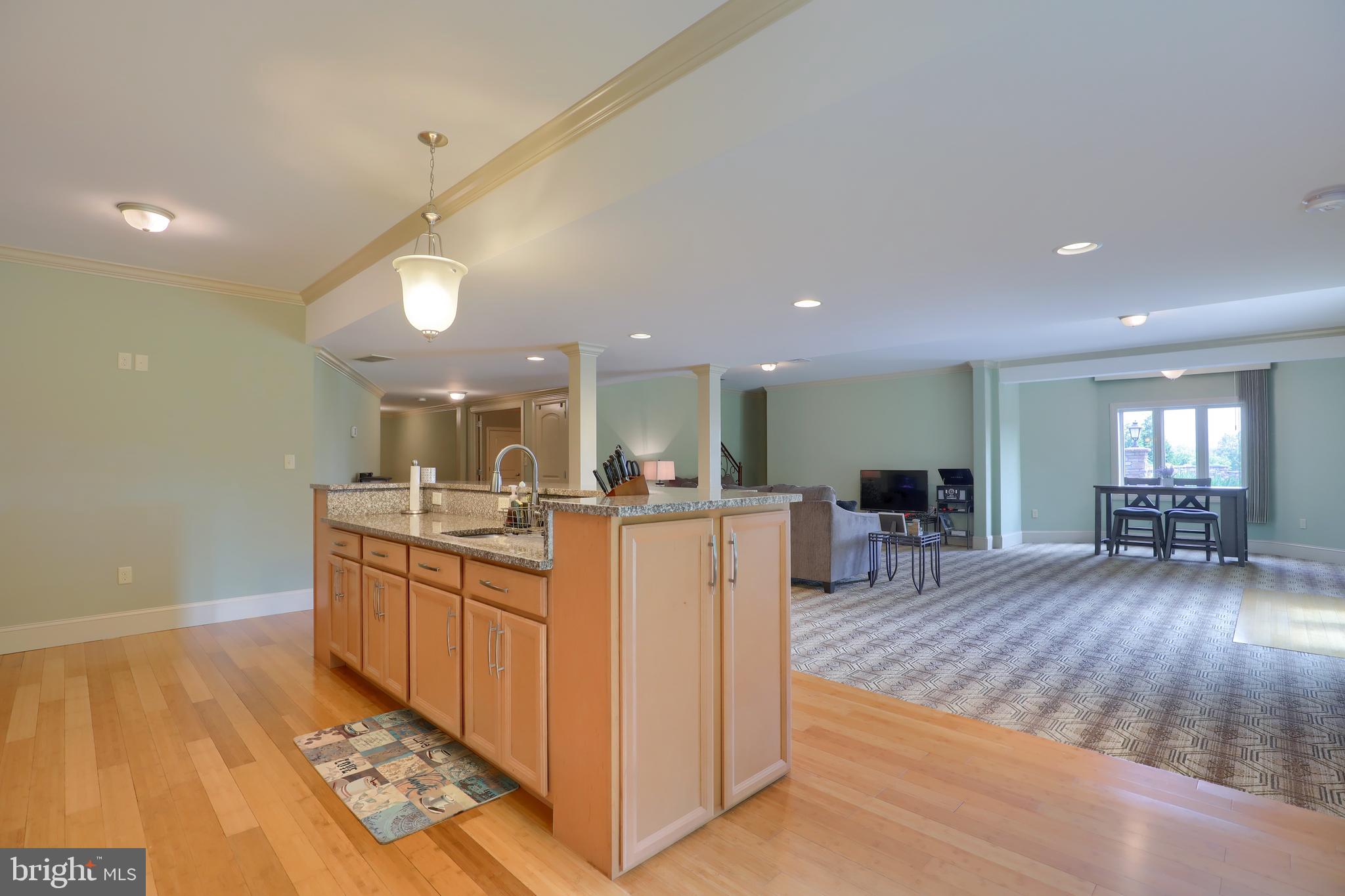 70 Horseshoe Trail Road Denver, PA 17517 - Photo 83 of 128 In Law Quarters Kitchen & Living Room