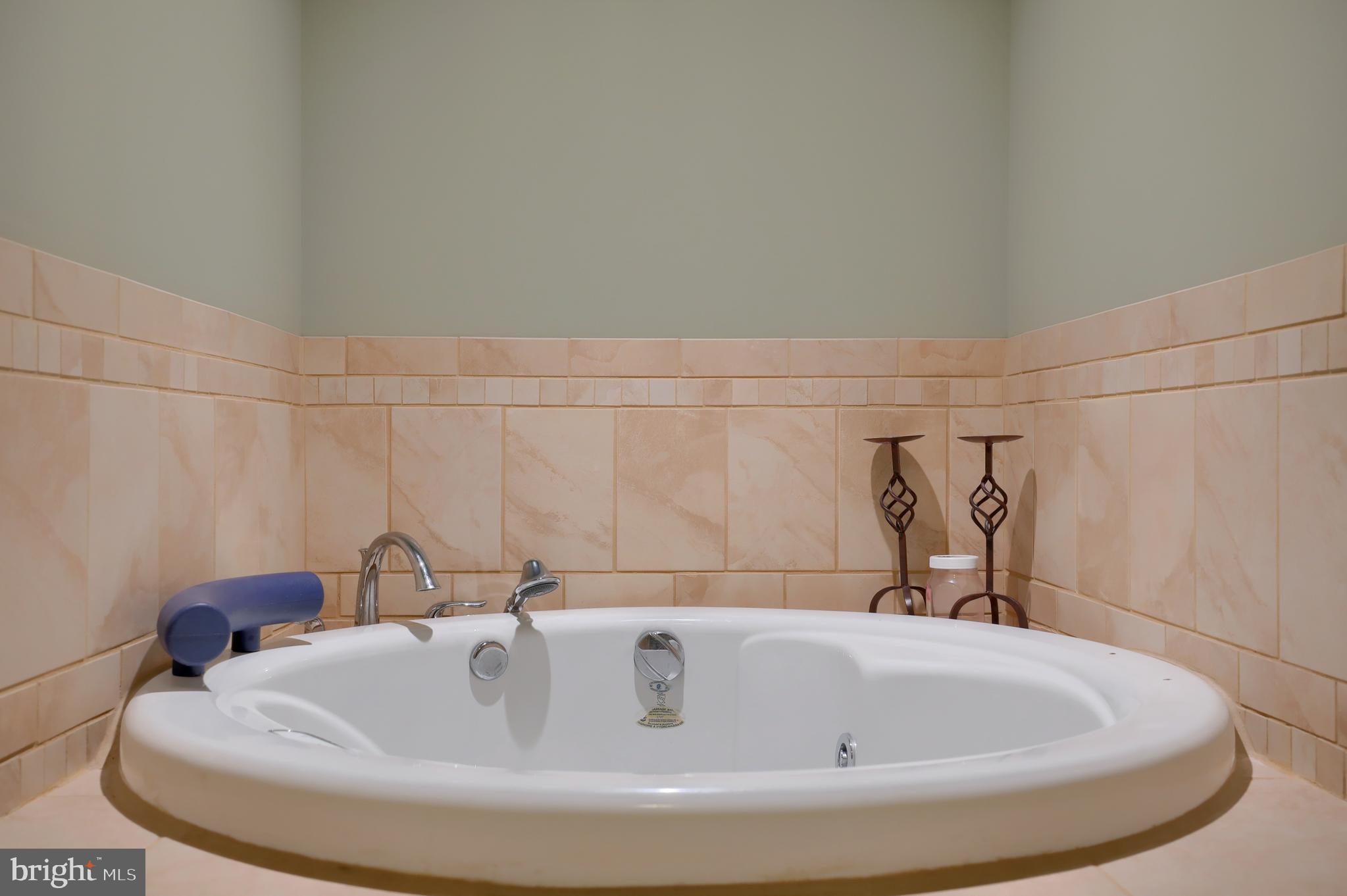 70 Horseshoe Trail Road Denver, PA 17517 - Photo 95 of 128 Whirlpool Tub
