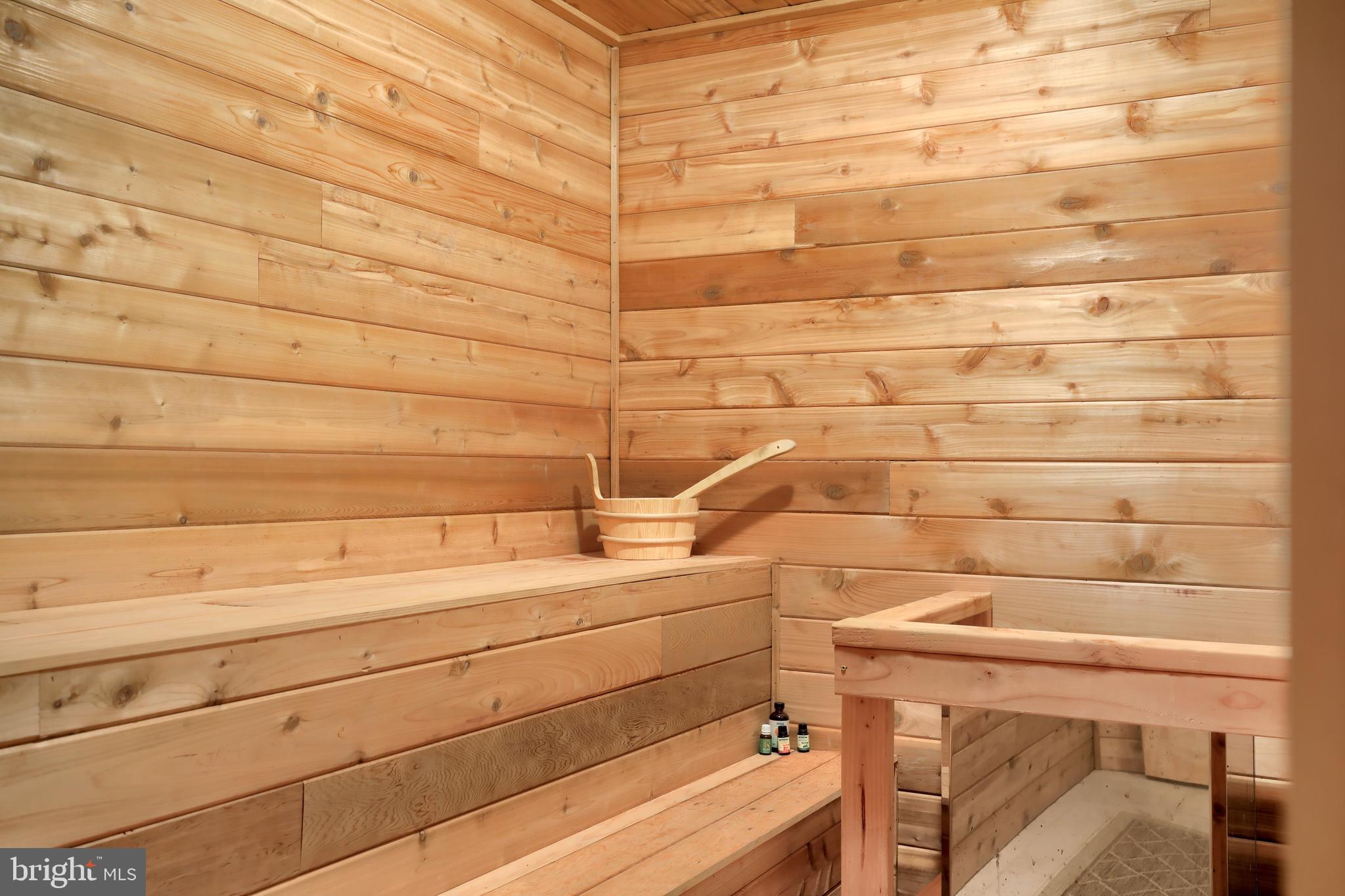 70 Horseshoe Trail Road Denver, PA 17517 - Photo 96 of 128 Sauna Room
