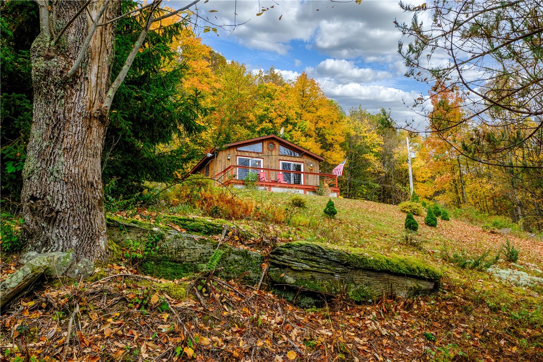 575 Reed Road Hamden, NY 13782 - Photo 2 of 31