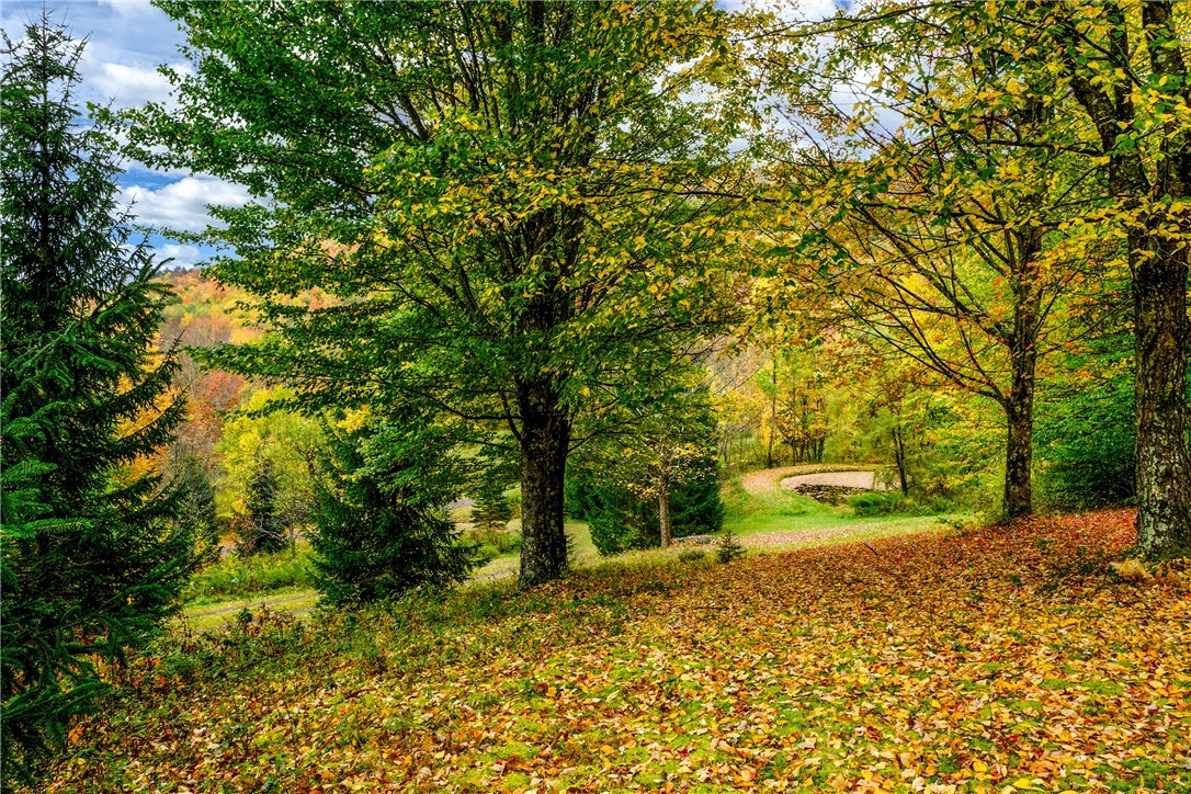 575 Reed Road Hamden, NY 13782 - Photo 24 of 31