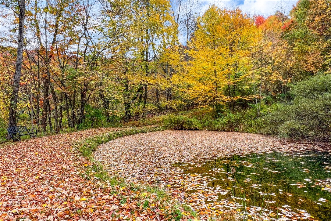 575 Reed Road Hamden, NY 13782 - Photo 25 of 31