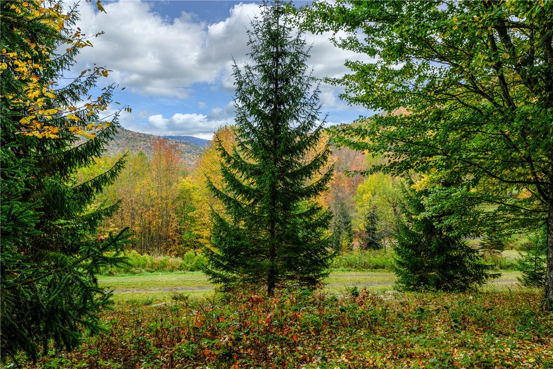 575 Reed Road Hamden, NY 13782 - Photo 27 of 31