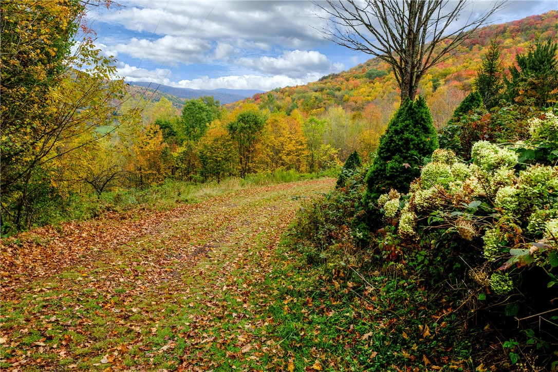 575 Reed Road Hamden, NY 13782 - Photo 29 of 31