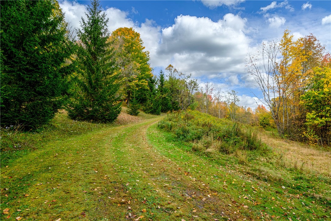 575 Reed Road Hamden, NY 13782 - Photo 30 of 31