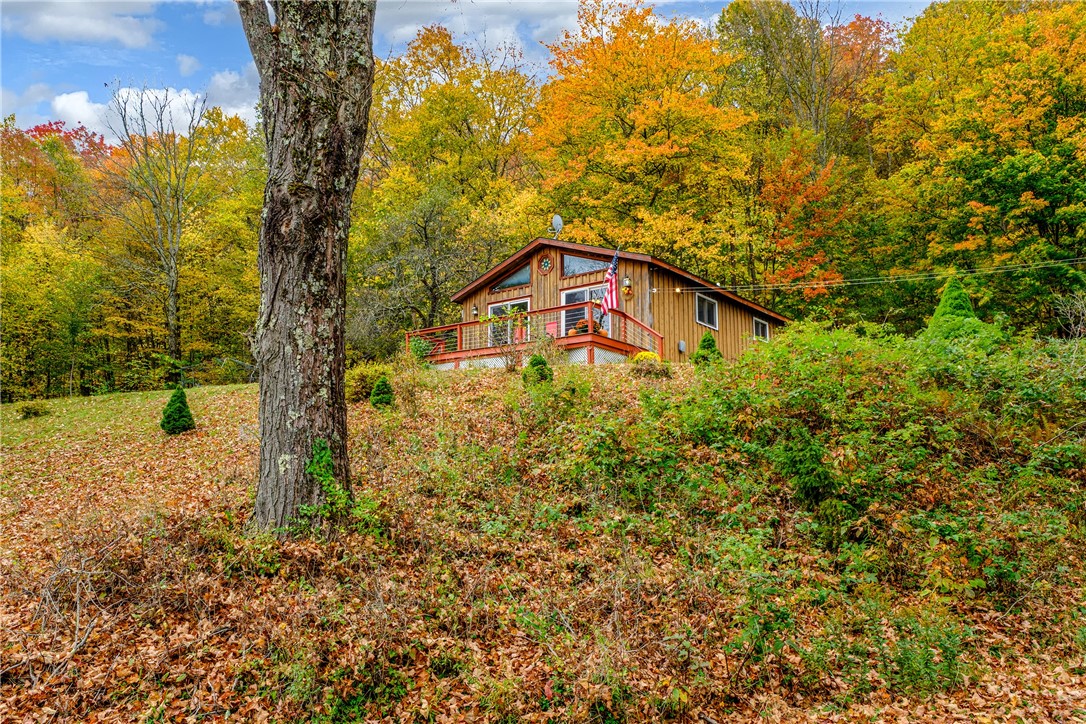 575 Reed Road Hamden, NY 13782 - Photo 3 of 31