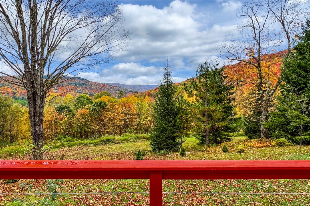 575 Reed Road Hamden, NY 13782 - Photo 10 of 31