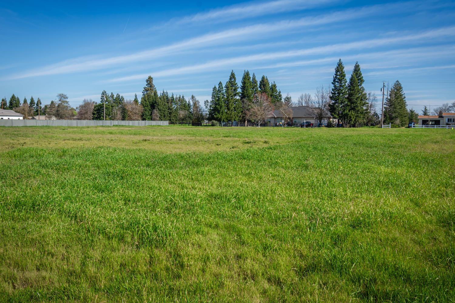 10685 Halfway Road Elk Grove, CA 95624 - Photo 18 of 19 a view of a field with trees in the background