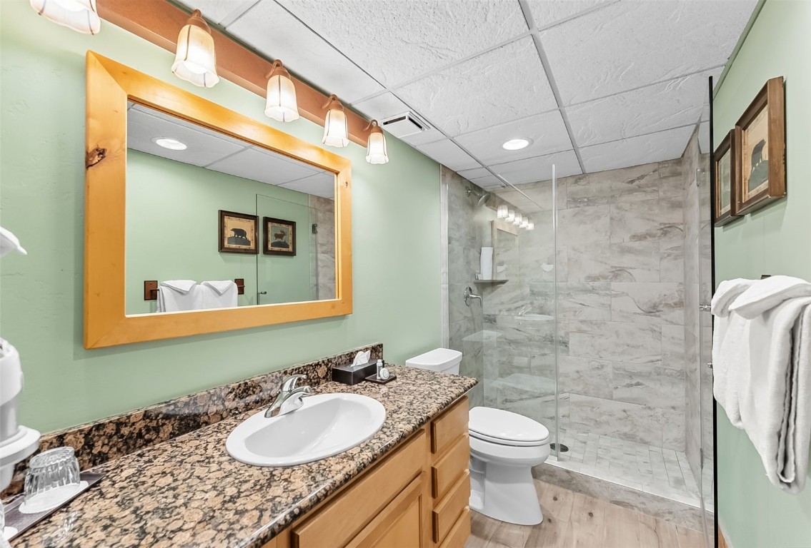 601 Village Road, Unit 501 Breckenridge, CO 80424 - Photo 18 of 50 a bathroom with a granite countertop sink toilet and shower