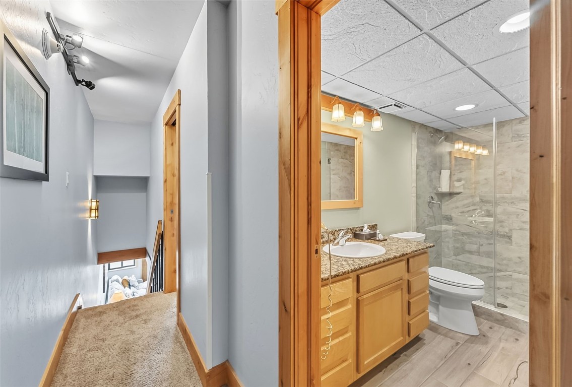 601 Village Road, Unit 501 Breckenridge, CO 80424 - Photo 36 of 50 a bathroom with a sink a toilet and shower