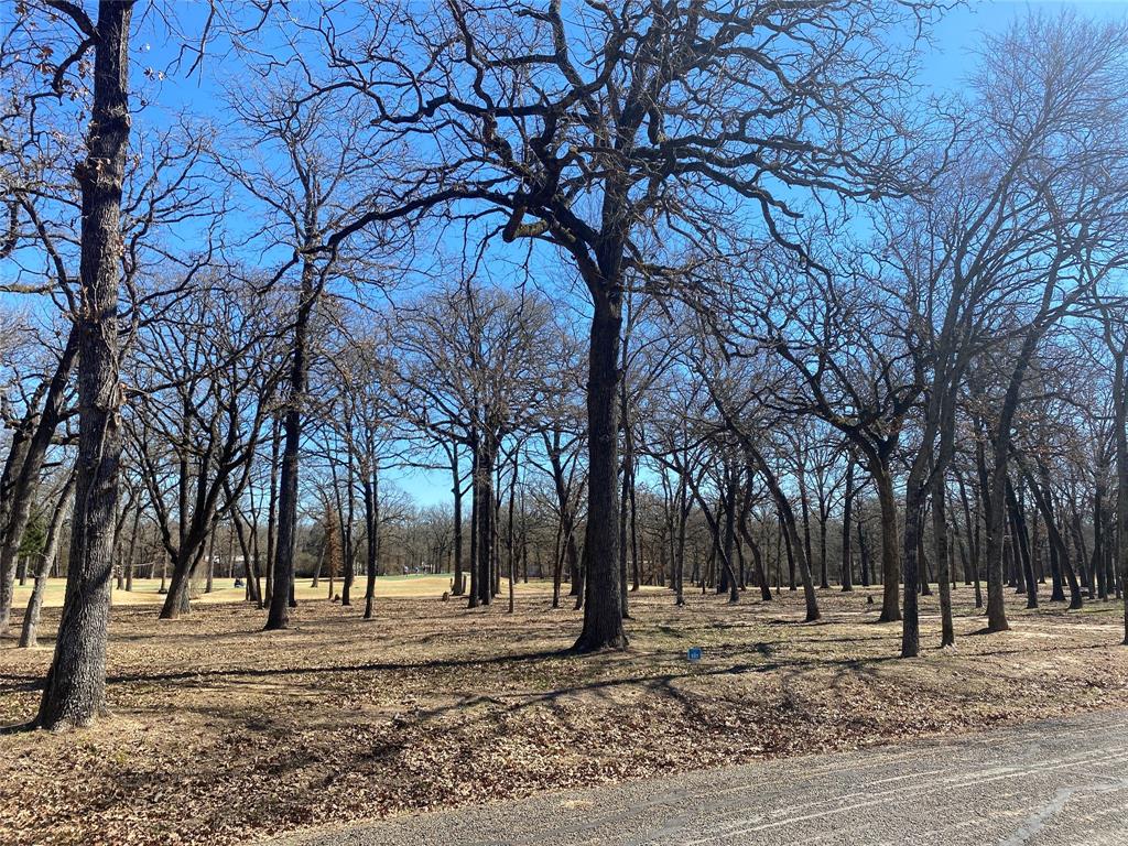 159 Colonial Drive Mabank, TX 75156 - Photo 1 of 1 a view of a yard with a trees