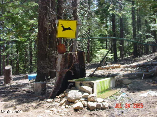 a view of a tree with a yard
