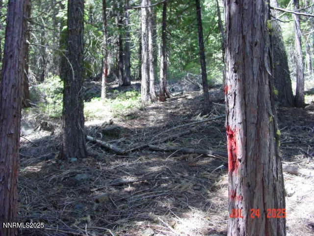 a view of a entertaining space