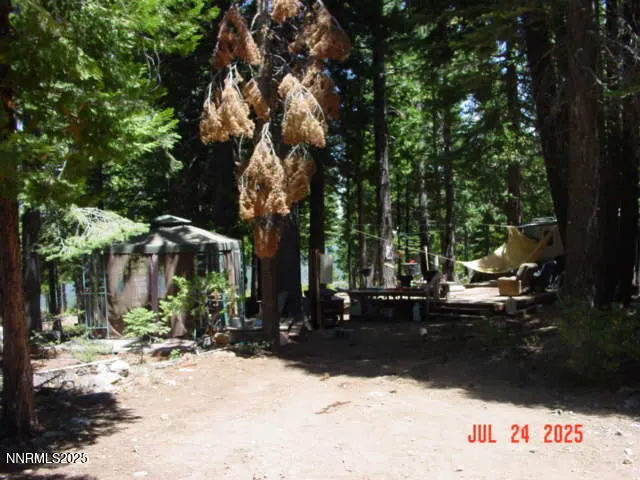 a view of a yard with large trees