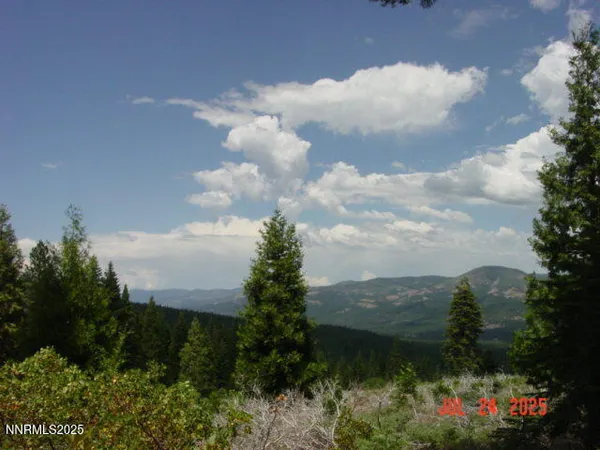 a view of a garden with trees