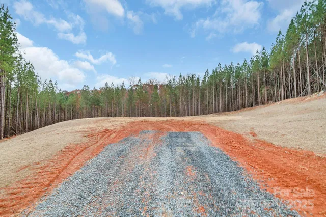 a view of a yard with plants
