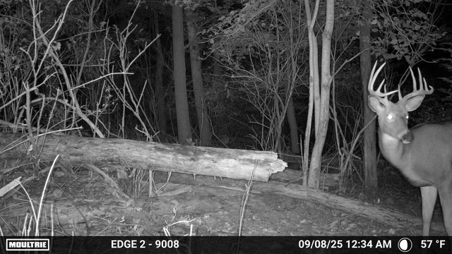 $542,000 | N456 Stoney Birch Road, Sherman, WI 53075