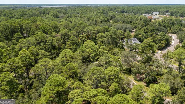 an aerial view of residential houses with outdoor space and trees