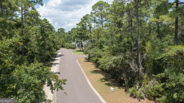 a view of a pathway both side of yard