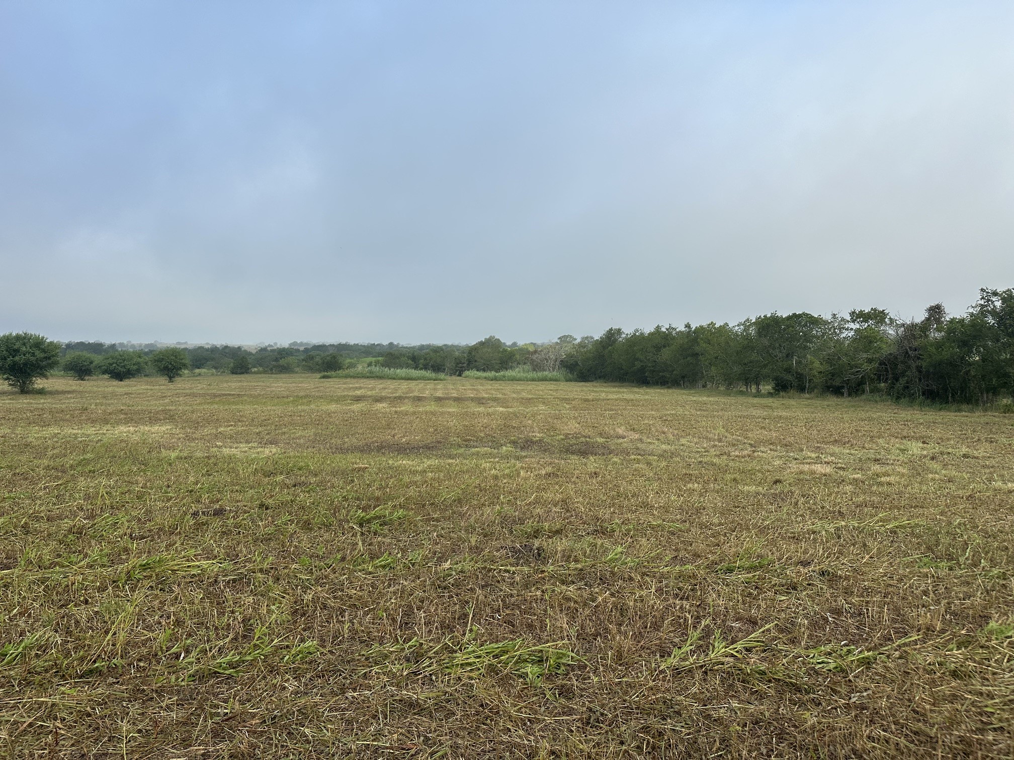 5914 Guettermann Ehler Road Muldoon, TX 78949 - Photo 7 of 11 Gallery Image 7