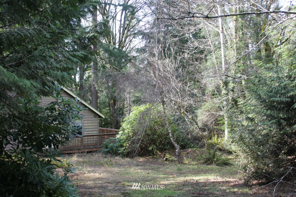 492 Payne Road Quilcene, WA 98376 - Photo 21 of 23 Gallery Image 21