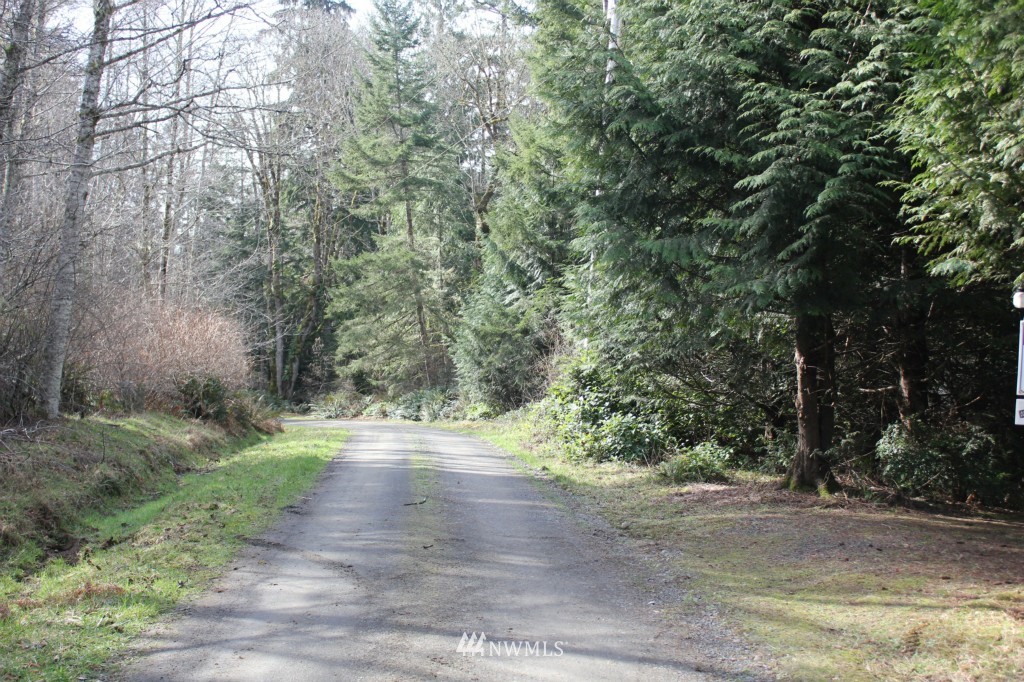 492 Payne Road Quilcene, WA 98376 - Photo 23 of 23 Gallery Image 23