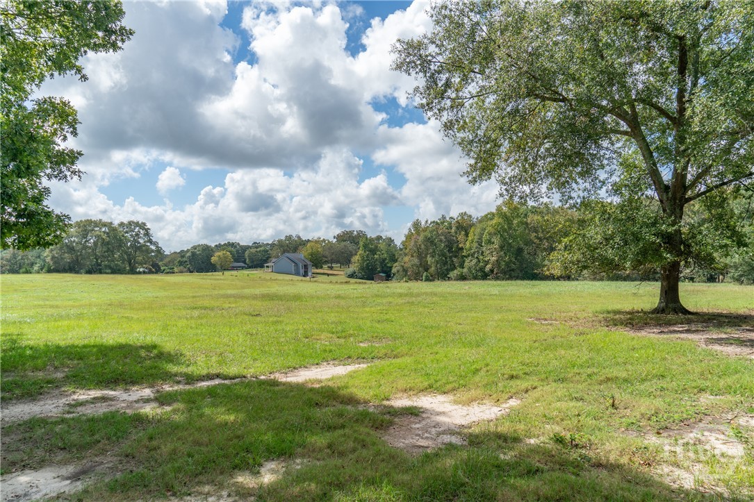 1963 Rehoboth Road Bowman, GA 30624 - Photo 11 of 64 Pasture view