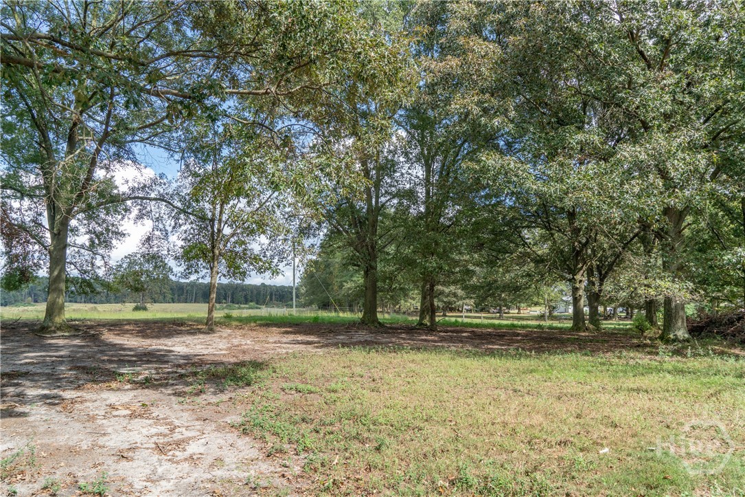 1963 Rehoboth Road Bowman, GA 30624 - Photo 12 of 64 Side yard