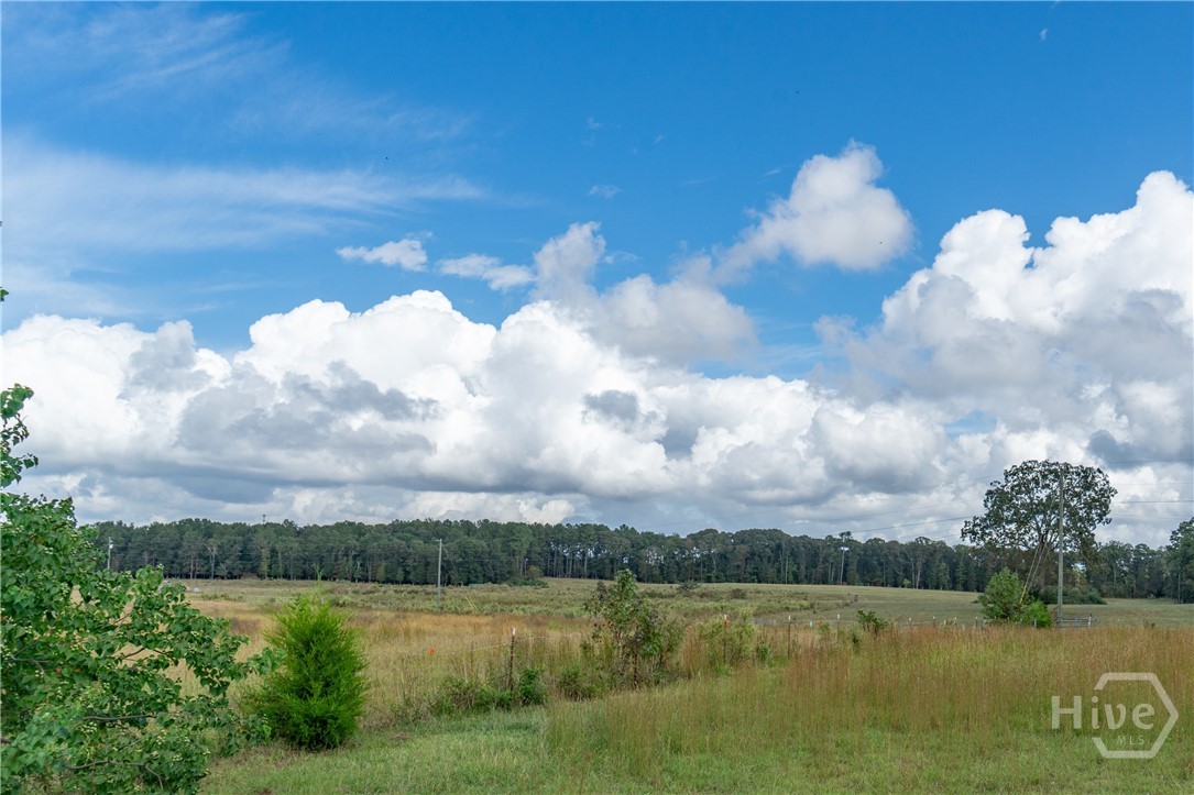 1963 Rehoboth Road Bowman, GA 30624 - Photo 16 of 64 Pasture