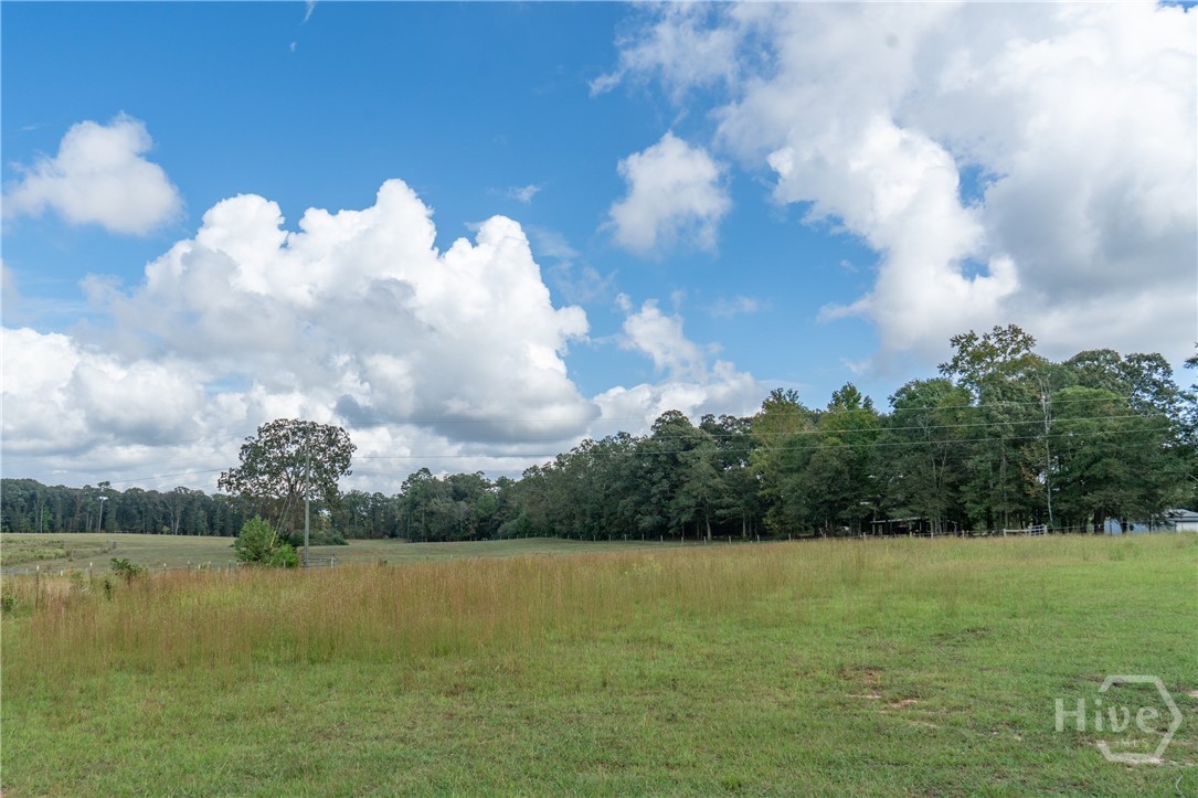 1963 Rehoboth Road Bowman, GA 30624 - Photo 17 of 64 Pasture