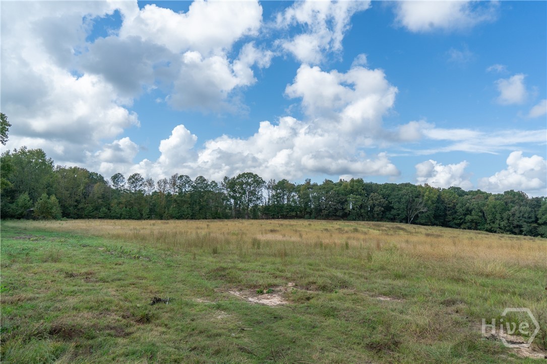1963 Rehoboth Road Bowman, GA 30624 - Photo 18 of 64 Pasture