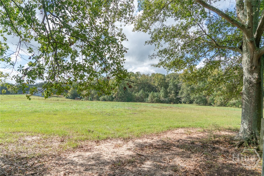 1963 Rehoboth Road Bowman, GA 30624 - Photo 9 of 64 Pasture