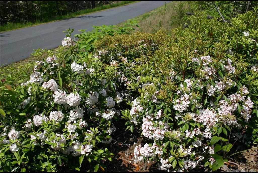 36 Inspiration Ridge Drive Bostic, NC 28018 - Photo 2 of 20
