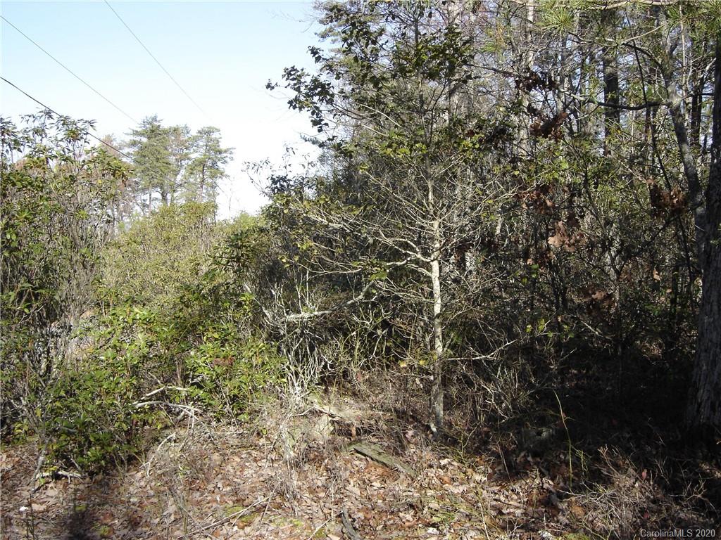 36 Inspiration Ridge Drive Bostic, NC 28018 - Photo 11 of 20