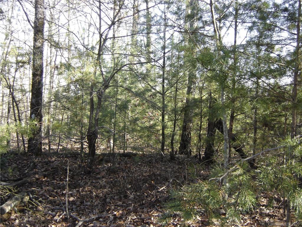 36 Inspiration Ridge Drive Bostic, NC 28018 - Photo 13 of 20