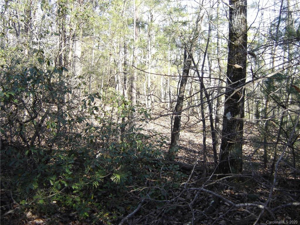 36 Inspiration Ridge Drive Bostic, NC 28018 - Photo 14 of 20