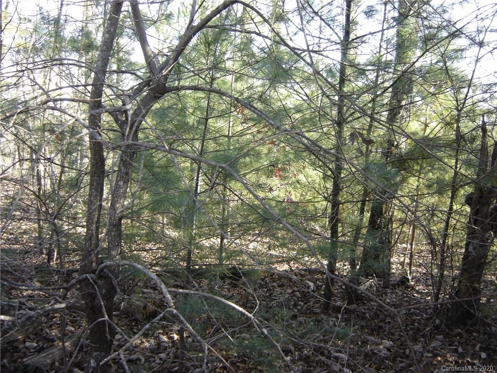 36 Inspiration Ridge Drive Bostic, NC 28018 - Photo 15 of 20