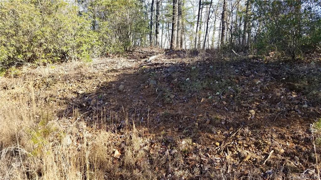 36 Inspiration Ridge Drive Bostic, NC 28018 - Photo 3 of 20