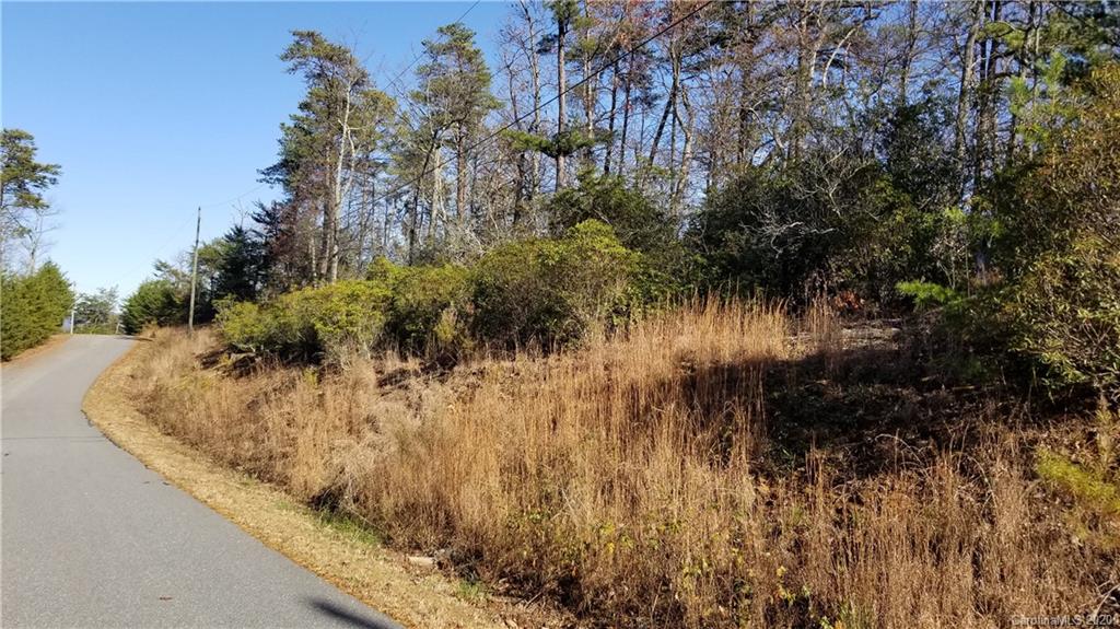 36 Inspiration Ridge Drive Bostic, NC 28018 - Photo 4 of 20