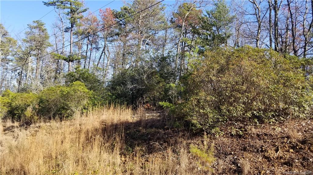 36 Inspiration Ridge Drive Bostic, NC 28018 - Photo 5 of 20