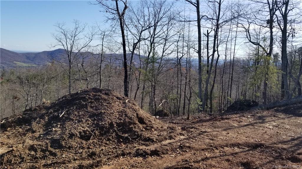 36 Inspiration Ridge Drive Bostic, NC 28018 - Photo 10 of 20