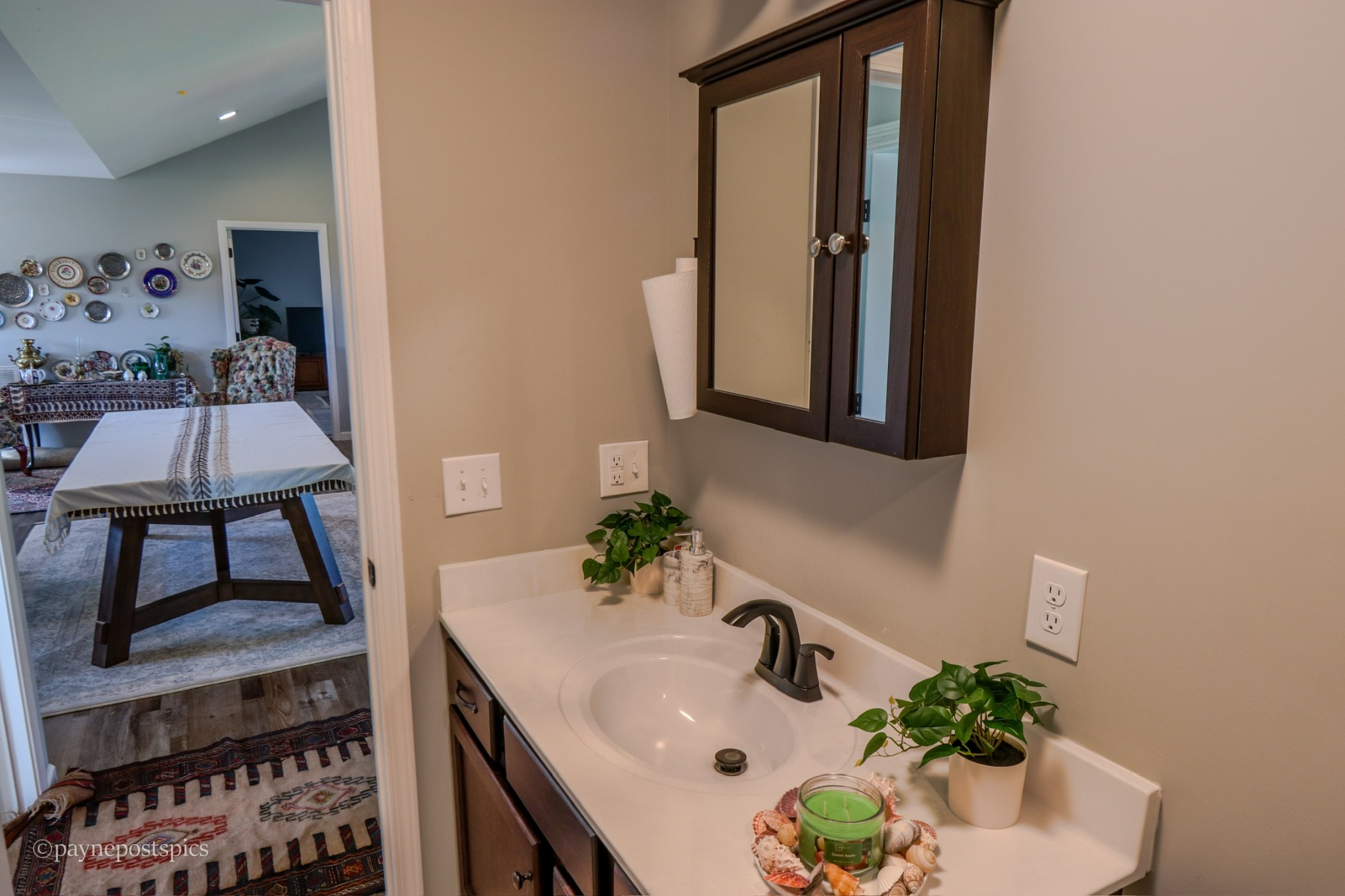 381 Bethany Road McMinnville, TN 37110 - Photo 15 of 18 a bathroom with a sink and a mirror