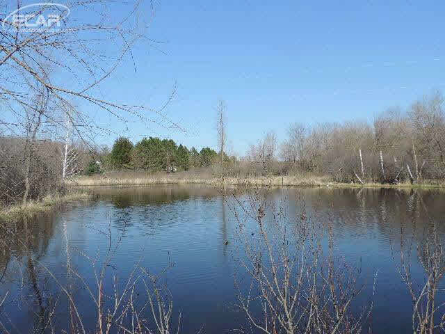 6441 Washburn Road Goodrich, MI 48438 - Photo 3 of 5
