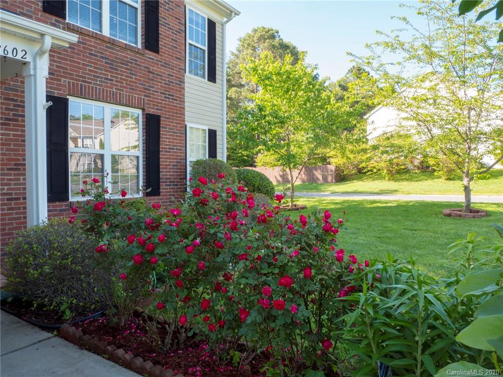 3602 Cole Mill Road Charlotte, NC 28270 - Photo 3 of 39