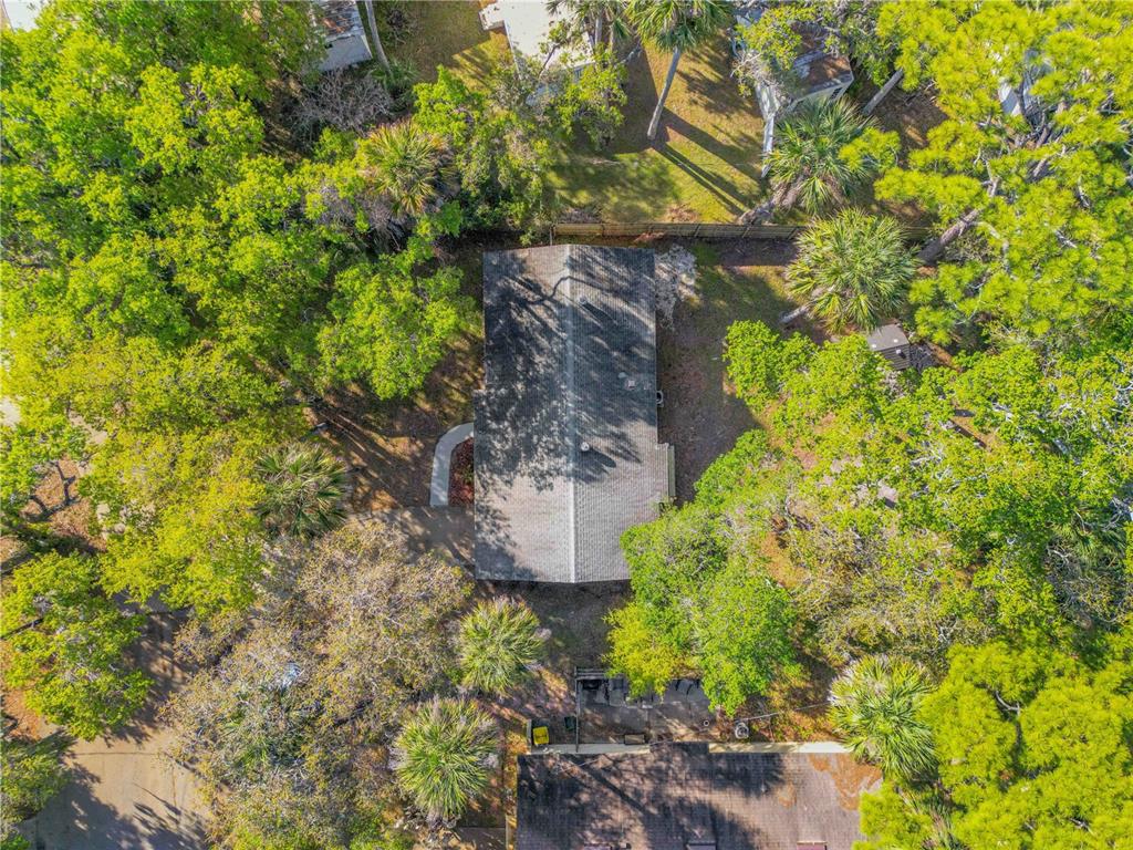 420 Perdita Avenue Edgewater, FL 32132 - Photo 35 of 39