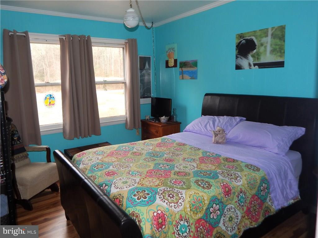 32317 Downing Road Delmar, MD 21875 - Photo 6 of 12 Gallery Image 6