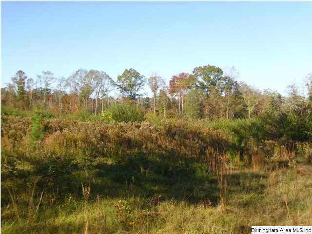 1148 County Road 418 Clanton, AL 35045 - Photo 6 of 10