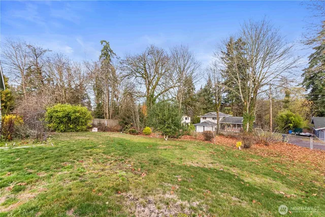 a view of a park with large trees