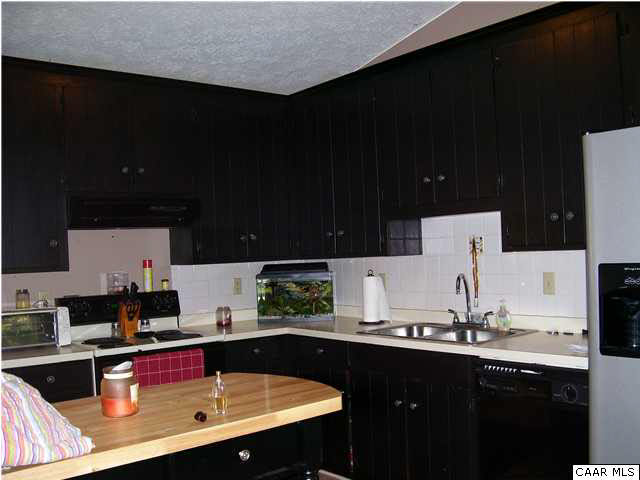 78 Dandelion Road Ruckersville, VA 22968 - Photo 3 of 11 a kitchen with a sink and cabinets
