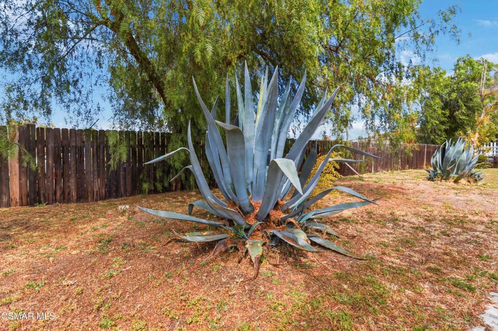 2874 School Street Simi Valley, CA 93065 - Photo 25 of 48 a view of a backyard with a tree